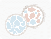 Defective Cells and Their Toxic Proteins