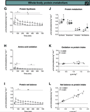 Screen Shot 2023-12-31 at 6.31.38 PM.png