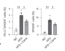 Screenshot 2025-03-08 at 2.03.38 PM.png