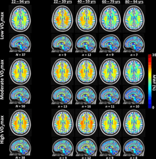 Screenshot 2024-10-26 at 10.09.54 AM.png