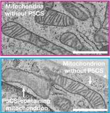 Screenshot 2025-01-22 at 2.37.40 PM.png