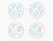 Cellular Deep Cleaning