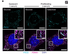 Screenshot 2025-01-22 at 2.18.36 PM.png